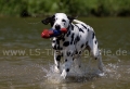 20 Wasseraction